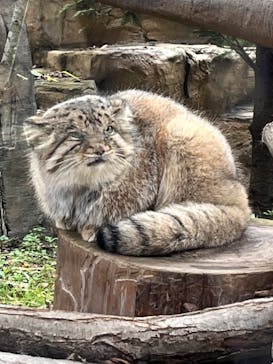 那須どうぶつ王国に投稿された画像（2024/10/2）