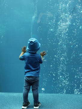 環境水族館アクアマリンふくしまに投稿された画像（2024/10/2）