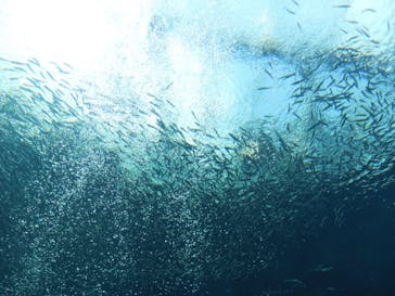 環境水族館アクアマリンふくしまに投稿された画像（2024/10/2）
