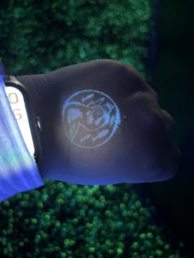 新江ノ島水族館に投稿された画像（2024/10/2）