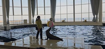 アクアワールド茨城県大洗水族館に投稿された画像（2024/10/2）