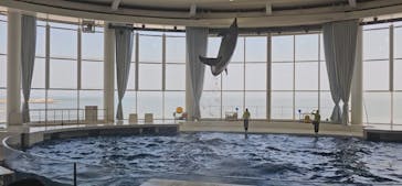 アクアワールド茨城県大洗水族館に投稿された画像（2024/10/2）