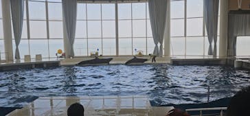 アクアワールド茨城県大洗水族館に投稿された画像（2024/10/2）