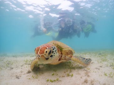 元気玉に投稿された画像（2024/10/3）