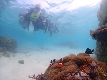 元気玉に投稿された画像（2024/10/3）