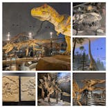 福井県立恐竜博物館に投稿された画像（2024/10/3）