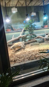 名古屋市東山動植物園に投稿された画像（2024/10/3）