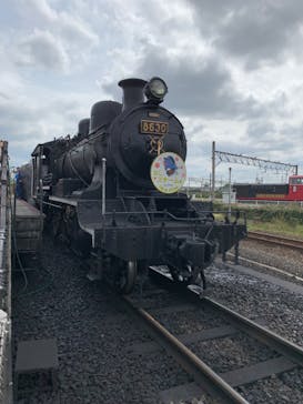 京都鉄道博物館×京都水族館に投稿された画像（2024/10/3）