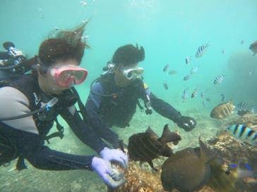 武藤潜水に投稿された画像（2024/10/3）