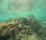 青の洞窟専門店　沖縄ダイビングショップ和に投稿された画像（2024/10/3）