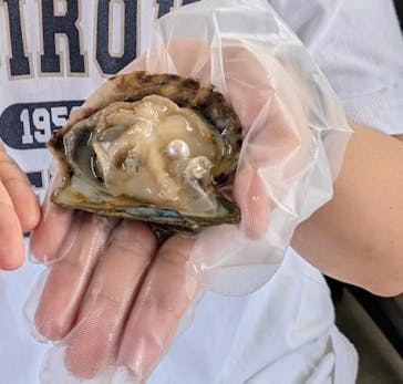 真珠工房 真珠の里に投稿された画像（2024/10/3）