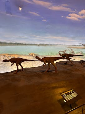 福井県立恐竜博物館に投稿された画像（2024/10/3）