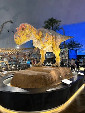 福井県立恐竜博物館に投稿された画像（2024/10/3）