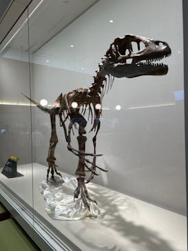 福井県立恐竜博物館に投稿された画像（2024/10/3）