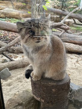 那須どうぶつ王国に投稿された画像（2024/10/3）