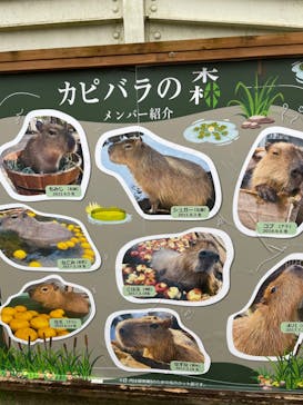 那須どうぶつ王国に投稿された画像（2024/10/3）