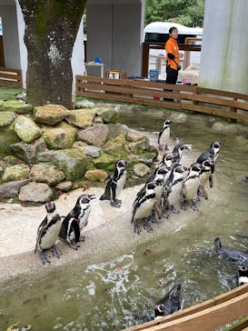 那須どうぶつ王国に投稿された画像（2024/10/3）