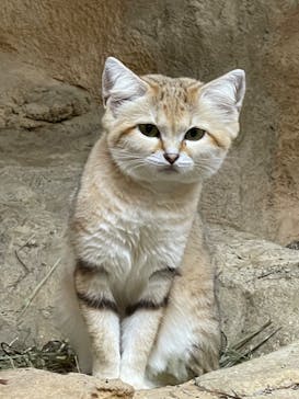 那須どうぶつ王国に投稿された画像（2024/10/3）