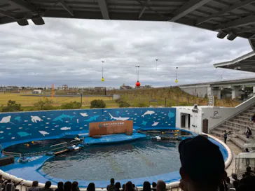 仙台うみの杜水族館に投稿された画像（2024/10/3）