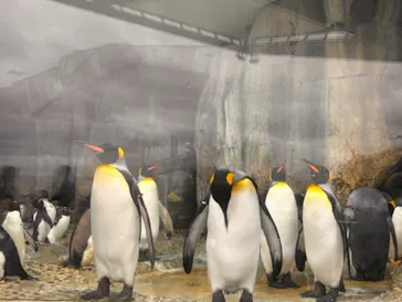 仙台うみの杜水族館に投稿された画像（2024/10/3）