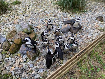 那須どうぶつ王国に投稿された画像（2024/10/3）