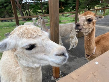 那須どうぶつ王国に投稿された画像（2024/10/3）