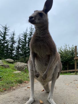 那須どうぶつ王国に投稿された画像（2024/10/3）