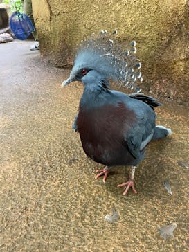 那須どうぶつ王国に投稿された画像（2024/10/3）