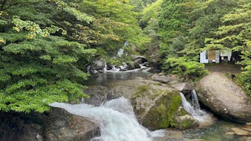 Yamakara屋久島に投稿された画像（2024/10/3）