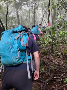 Yamakara屋久島に投稿された画像（2024/10/3）