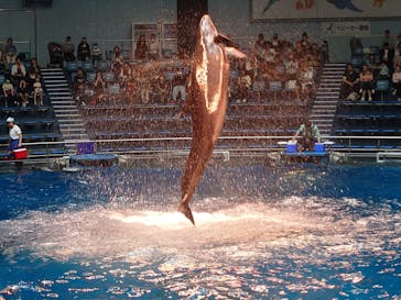 マクセル アクアパーク品川に投稿された画像（2024/10/3）