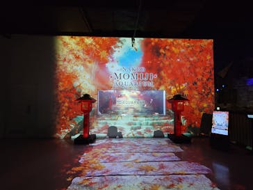 マクセル アクアパーク品川に投稿された画像（2024/10/3）