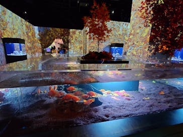 マクセル アクアパーク品川に投稿された画像（2024/10/3）