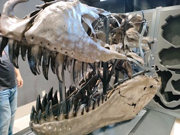 福井県立恐竜博物館に投稿された画像（2024/10/3）