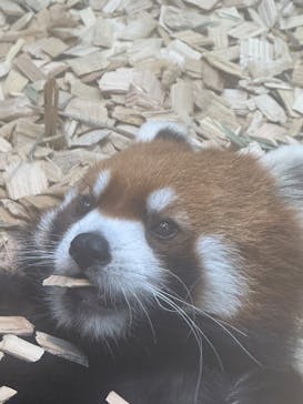 名古屋市東山動植物園に投稿された画像（2024/10/3）