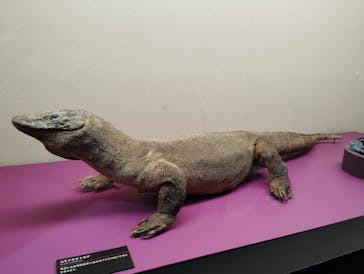 特別展　毒に投稿された画像（2024/10/3）