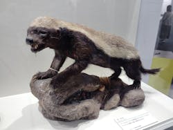 特別展　毒に投稿された画像（2024/10/3）