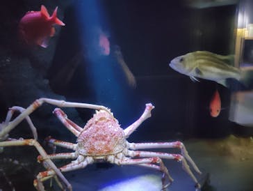 竹島水族館に投稿された画像（2024/10/3）