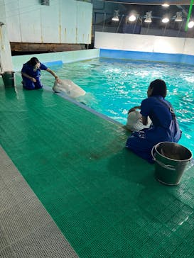 鴨川シーワールドに投稿された画像（2024/10/3）