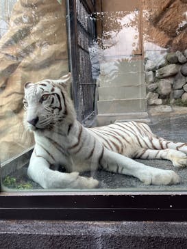 東武動物公園に投稿された画像（2024/10/4）