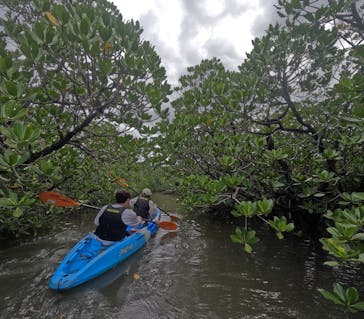 西表島 ADVENTURE PiPi（アドベンチャーピピ）に投稿された画像（2024/10/4）