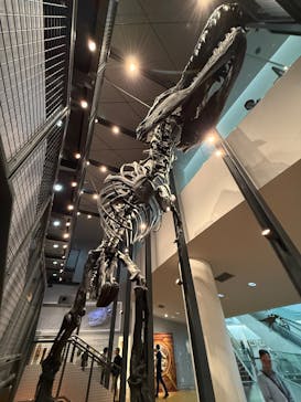 福井県立恐竜博物館に投稿された画像（2024/10/4）