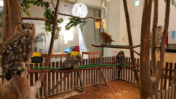 Moff animal cafe イオンモール幕張新都心店に投稿された画像（2024/10/4）