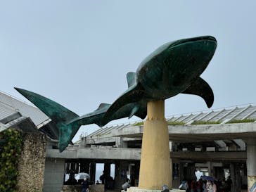 沖縄美ら海水族館に投稿された画像（2024/10/4）