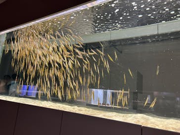 AOAO SAPPOROに投稿された画像（2024/10/4）