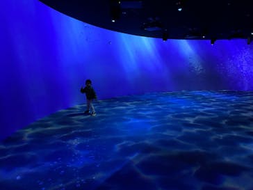 AOAO SAPPOROに投稿された画像（2024/10/4）