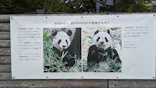 恩賜上野動物園に投稿された画像（2024/10/4）
