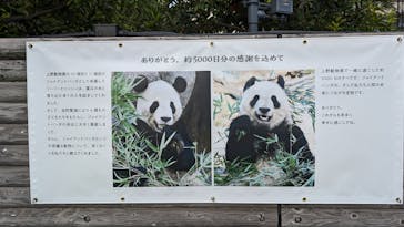恩賜上野動物園に投稿された画像（2024/10/4）