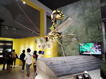 特別展「昆虫 MANIAC」（国立科学博物館）に投稿された画像（2024/10/4）