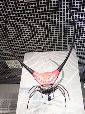 特別展「昆虫 MANIAC」（国立科学博物館）に投稿された画像（2024/10/4）
